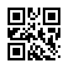 Festwin519 Link